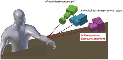Novel 60 GHz Band Spatial Synthetic Exposure Setup to Investigate Biological Effects of 5G and Beyond Wireless Systems on Human Body